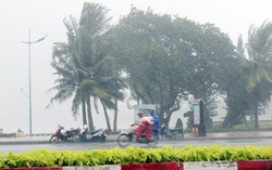 Khu vực từ Nghệ An đến Khánh Hòa chủ động ứng phó với bão số 10