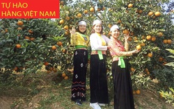 Ứng dụng công nghệ sản xuất cam hữu cơ bảo vệ môi trường