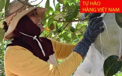 Tiền Giang: Hiệu quả từ đề án hỗ trợ phụ nữ khởi nghiệp
