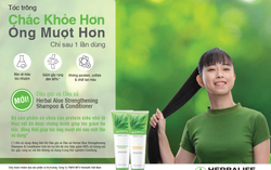Protein từ thực vật giúp bổ sung dinh dưỡng cho tóc