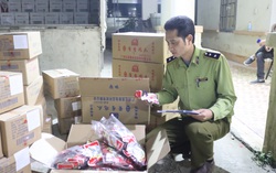 Tiêu hủy gần 7.000 túi chân gà tẩm, 1.000 lon bia Trung Quốc nhập lậu