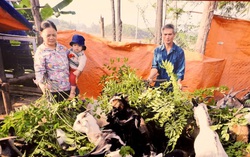 Người cao tuổi khởi nghiệp: Hãy phá vỡ định kiến về người già