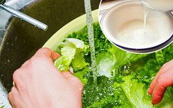 3 kiểu rửa rau dễ khiến rau ngấm thuốc trừ sâu