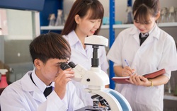 Việt Nam có hơn 17.000 bài báo quốc tế được công bố trong năm 2020
