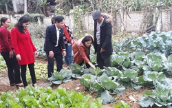 Mô hình 'Nhà sạch - vườn mẫu' đảm bảo vệ sinh an toàn thực phẩm, góp phần xây dựng nông thôn mới kiểu mẫu