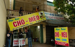 Thái Bình: Chủ nhà hàng thịt mèo tự nguyện đóng cửa, phóng thích hàng chục cá thể chó, mèo