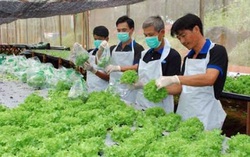 Đài Loan mở rộng ngành nghề tiếp nhận lao động nước ngoài