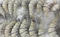 Tôm đông lạnh trong siêu thị có lớp đá dày nhằm tăng cân nặng? Sự thật lại quá bất ngờ!