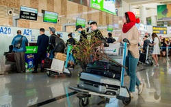 Mua vé máy bay Tết cho mai, đào ngược xuôi Nam Bắc