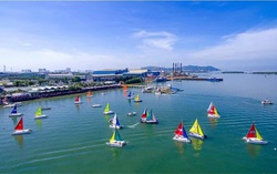 Vũng Tàu: Vì sao dự án “Bến thuyền du lịch” lại không cho hoạt động du lịch?