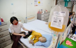 Nhói lòng trước những cảnh đời hồi sinh nhờ tiểu cầu