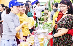 Khánh Hòa: Kết nối các ý tưởng khởi nghiệp