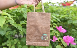 Sinh viên TPHCM "chế" túi cây chuối chịu lực tốt