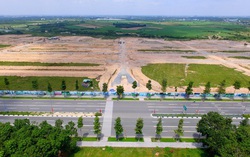 Vụ chuyển nhượng 43 ha đất trái phép tại Bình Dương: Đủ cơ sở pháp lý để thu hồi đất của Tổng Công ty Bình Dương 