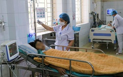 Dễ tử vong vì ngộ độc nấm nếu người dân tiếp tục những thói quen này