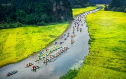 Sôi động "Sắc vàng Tam Cốc - Tràng An” mùa du lịch đẹp nhất trong năm