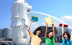 4 điều cần lưu ý khi đi du học, đảm bảo an toàn trong thời Covid-19