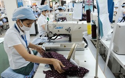 Gia nhập Công ước 105 nhằm bảo vệ quyền và lợi ích hợp pháp của người lao động