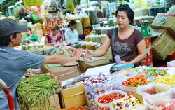 Đề xuất không đưa hộ kinh doanh vào đối tượng điều chỉnh của Luật Doanh nghiệp sửa đổi