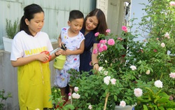 Chơi hoa hồng - “hot trend” giải trí của phụ nữ 