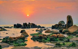 Khám phá vẻ đẹp như tranh thủy mặc của Bàu Trắng