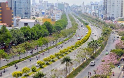 Chờ một vệt nắng Sài Gòn