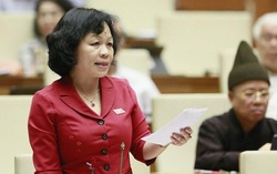 Từ dịch Covid -19, ĐBQH đề xuất linh hoạt việc họp Quốc hội