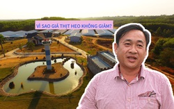 Heo thịt tăng giá từ lúc... lọt lòng 