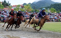 Lần đầu tiên có nài ngựa nữ tranh tài trong giải đua ngựa Bắc Hà