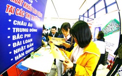 Phụ nữ xuất khẩu lao động: Bất bình đẳng khi đi làm, thiệt thòi lúc trở về