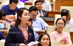 ĐBQH lo ngại về lộ trình xóa bỏ sổ hộ khẩu, sổ tạm trú