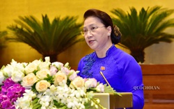 "Lần đầu tiên Quốc hội họp trực tuyến nhưng rất thông suốt, hiệu quả"
