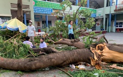 Tiếp tục đưa ra biện pháp mạnh mẽ chống xâm hại và không để xảy ra các sự cố đáng tiếc đối với trẻ em