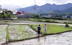 Án mạng kinh hoàng ở Điện Biên, 3 người tử vong