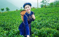 Kích cầu du lịch Thái Nguyên gắn với Vòng cung Đông Bắc