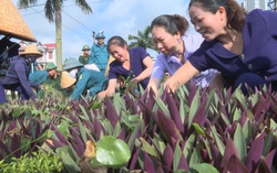 Nâng cao nhận thức cho cán bộ, hội viên phụ nữ về bảo vệ môi trường