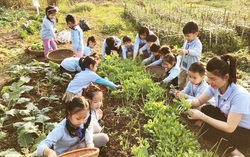 8 bài học đơn giản dạy con bảo vệ môi trường sống