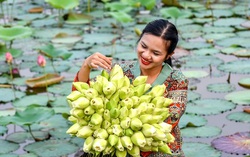 Khát khao giữ gìn loài sen cổ đất cố đô