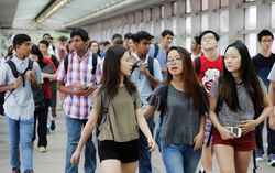 5 địa chỉ trợ giúp du học sinh Việt Nam tại Hoa Kỳ trong mùa dịch Covid-19