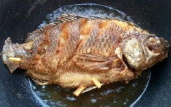 Bí quyết rán cá, rán trăm lần đều vàng giòn, không rách da, sát chảo