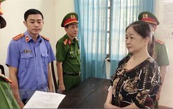 Khởi tố nữ giám đốc buôn lậu, xuất khẩu 14,5 tấn gạo trái phép