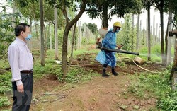 Thêm 1 huyện ở Gia Lai có ca dương tính với vi khuẩn bạch hầu