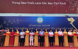 Thành lập trung tâm kiểm định chất lượng để chống bị ép giá