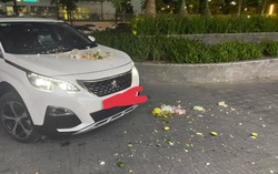 Kinh hãi túi rác chứa đầy mảnh sứ từ tầng cao chung cư "rơi" trúng xế hộp đậu dưới sảnh