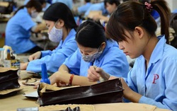 Tìm giải pháp hỗ trợ sức khỏe người di cư