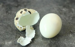 Luộc trứng cút cần nhớ 2 bước này để vỏ trứng tự động bong ra