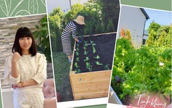 Mẹ Việt biến vườn cỏ dại thành thiên đường rực rỡ sắc màu ở Đức