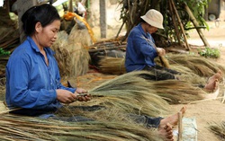Dòng vốn ủy thác tạo lòng tin cho nhân dân Quảng Ngãi