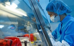 Bất chấp nghi ngại về vaccine Covid-19 của Nga, nhiều nước vẫn đua nhau đặt hàng