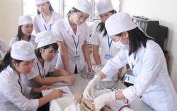 Tuyển 100 lao động nữ làm thực tập sinh hộ lý tại Nhật Bản